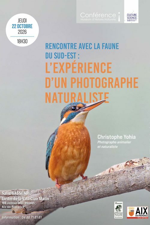 Rencontre avec la faune du sud-est