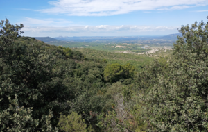 A la découverte des collines de Charleval P2 T1/2