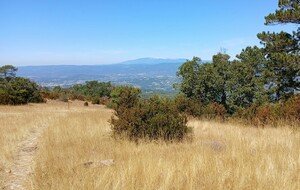 Sommet du Mourre Nègre et patrimoine du Grand Luberon - P2 T1