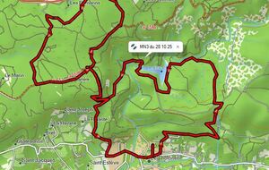 Marche Nordique Hybride MN3