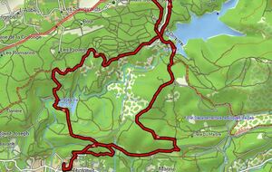 Marche Nordique Hybride MN3