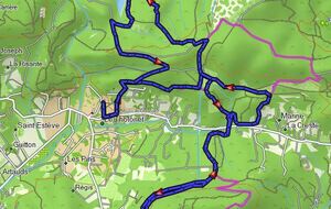 Marche Nordique Hybride MN3