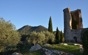 Barjols, vallon des Carmes et Petit Bessillon P2T2