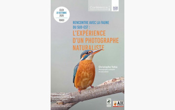 Rencontre avec la faune du sud-est