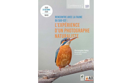 Rencontre avec la faune du sud-est